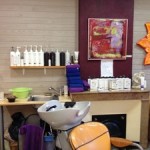 salon de coiffure atelier de carole mon commerce a lyon