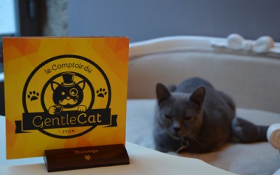 Le Comptoir du GentleCat